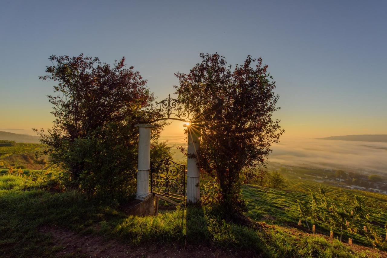 Hotel Gaestehaus Familie Trachsler Rohrendorf bei Krems Exteriér fotografie