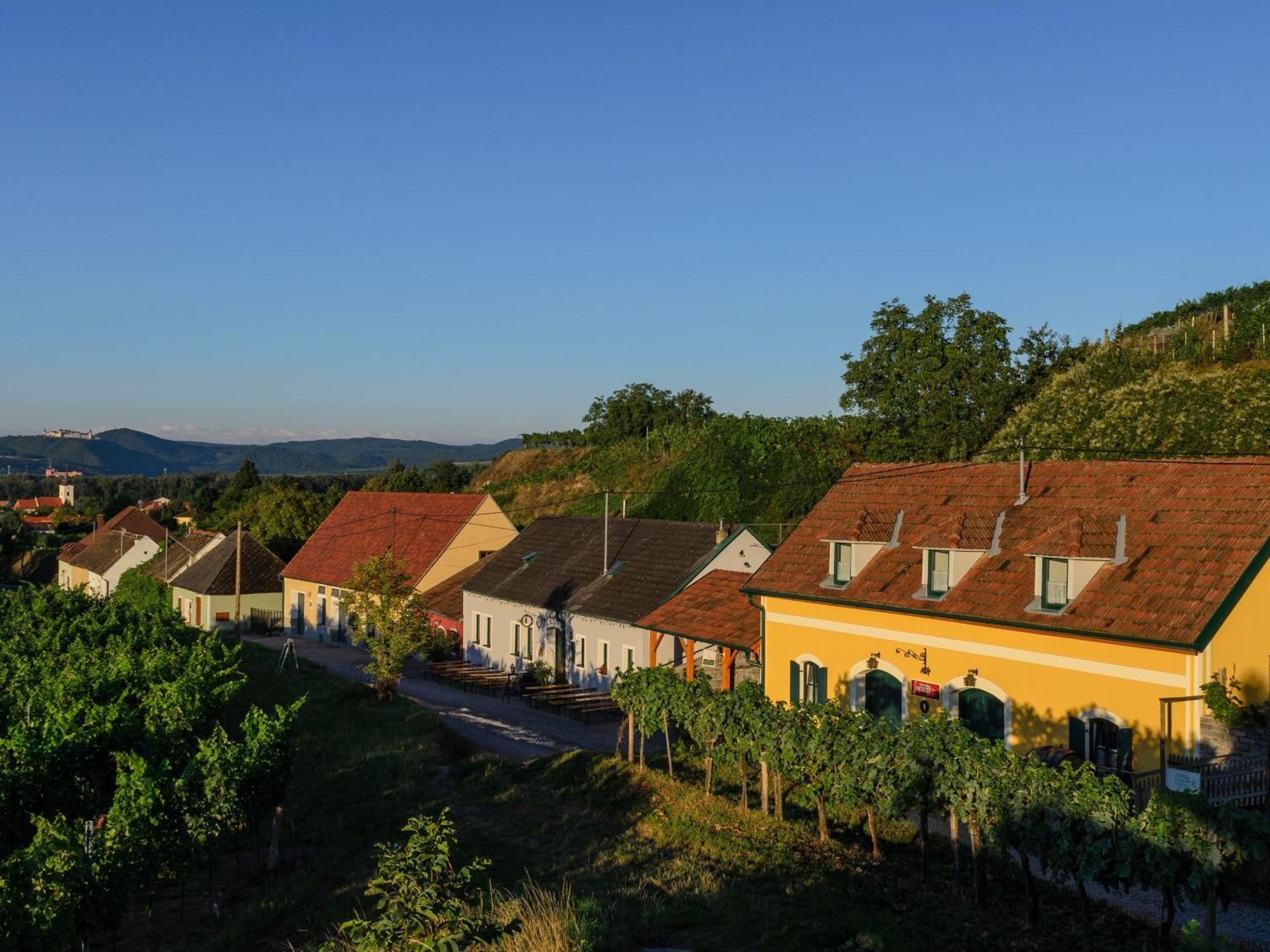 Hotel Gaestehaus Familie Trachsler Rohrendorf bei Krems Exteriér fotografie