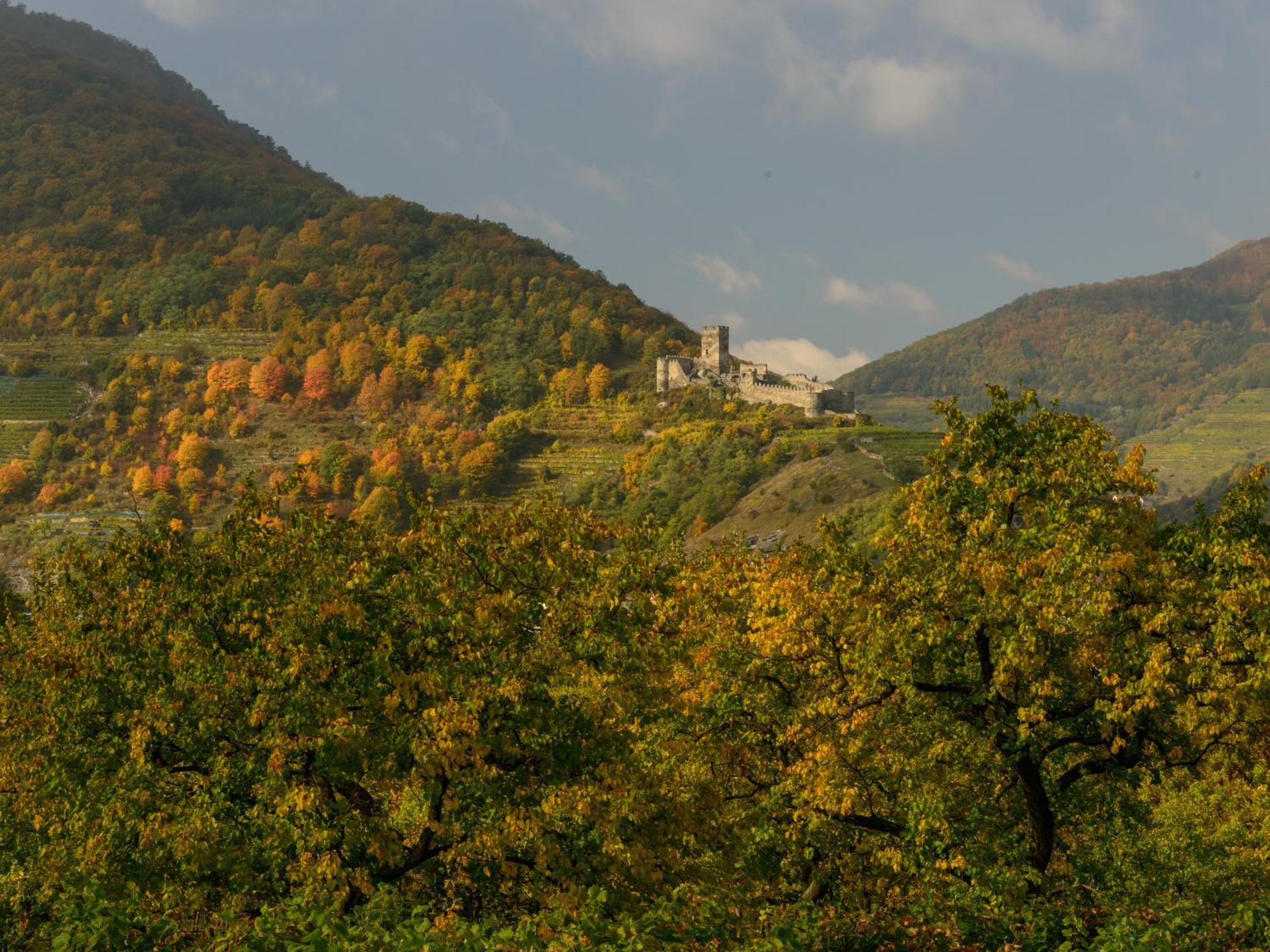 Hotel Gaestehaus Familie Trachsler Rohrendorf bei Krems Exteriér fotografie