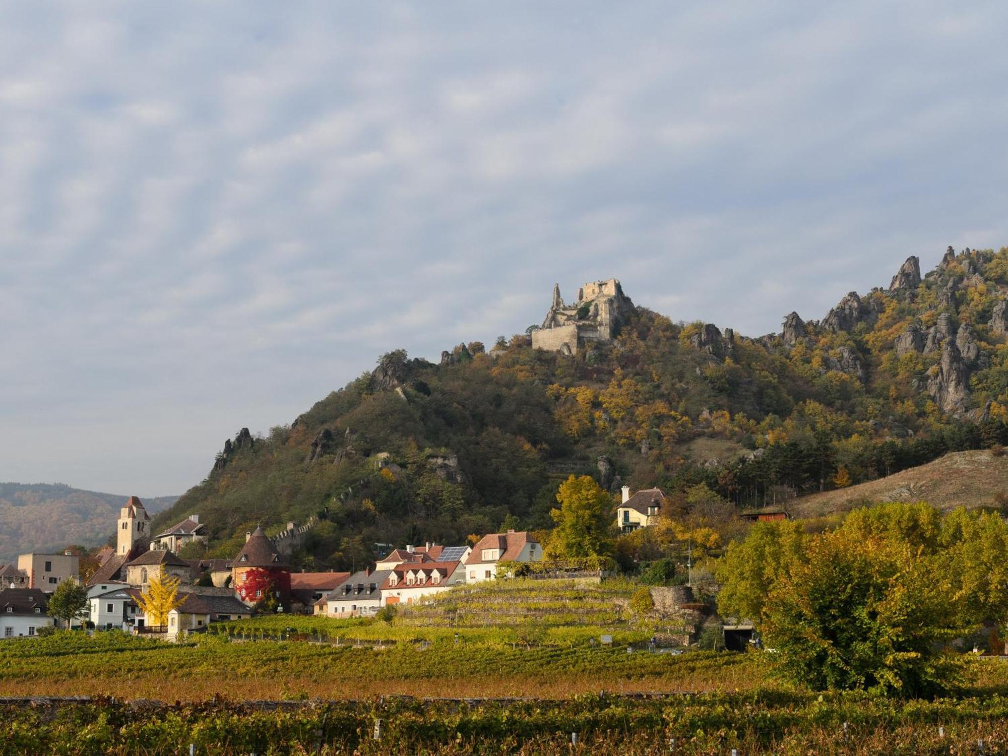 Hotel Gaestehaus Familie Trachsler Rohrendorf bei Krems Exteriér fotografie